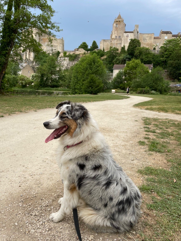 Shelby Terre Et Ciel D'Australes